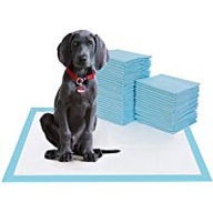 Podložky podložky pre psa, ktorý sa učí upratovať 40x60 100ks