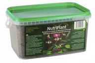 NutriPlant 5L SUBSTRÁT PRE AKVÁRIUM NutriPlant 5L SUBSTRÁT PRE AKVÁRIUM