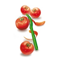Victorinox škrabka 7.6075.4, univerzálna Victorinox škrabka 7.6075.4, univerzálna