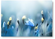 BLUE FLOWER BOHO plagát 40x50 cm obrázok #208 BLUE FLOWER BOHO plagát 40x50 cm obrázok #208