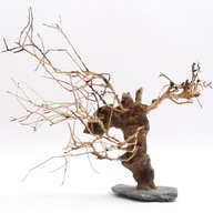 Koreň bonsai pre akvárium Y66 37x32x21cm