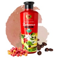 BANFI HERBARIA Ženšenová voda s kofeínom 250 ml BANFI HERBARIA Ženšenová voda s kofeínom 250 ml