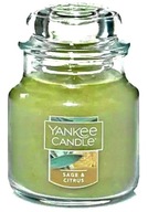 Yankee Candle Sage & Citrus malá sviečka 104g