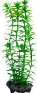 Tetra DecoArt L Anacharis Tetra DecoArt L Anacharis