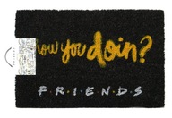 Rohožka Friends How You Doin 60x40 cm Rohožka Friends How You Doin 60x40 cm