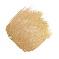 GOLD DUST jedlé farbivo 10g Słotki Bufet GOLD DUST jedlé farbivo 10g Słotki Bufet