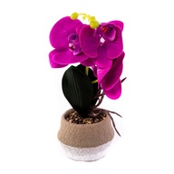 ORCHIDEA V ČREPNÍKU, OKRASNÁ RASTLINA, RÔZNE FARBY ORCHIDEA V ČREPNÍKU, OKRASNÁ RASTLINA, RÔZNE FARBY