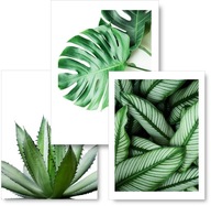 MONSTERA sada 3 obrazov plagátov 30x40 MONSTERA sada 3 obrazov plagátov 30x40