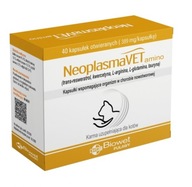 Biowet NeoplasmaVet Amino 40 kapsúl proti rakovine pre mačky Biowet NeoplasmaVet Amino 40 kapsúl proti rakovine pre mačky