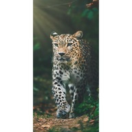 UTERÁK 70X140 100% BAVLNA JAGUAR JUNGLE UTERÁK 70X140 100% BAVLNA JAGUAR JUNGLE