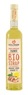 ZÁZVOROVÝ A CITRÓNOVÝ BIO SIRUP 500 ml - HOLLINGER (HOLLINGER) HOLLINGER ZÁZVOROVÝ A CITRÓNOVÝ BIO SIRUP 500 ml - HOLLINGER (HOLLINGER) HOLLINGER