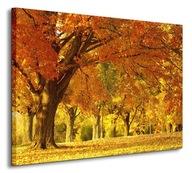 Jesenná krajinka v parku Maľba na plátne, 80x60 cm