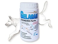 Gelacan Chondro Forte 500 g