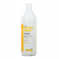 Glossco Perfect Repair regeneračný šampón 1 l Glossco Perfect Repair regeneračný šampón 1 l