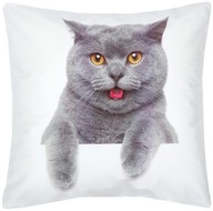 Dekoratívna obliečka na vankúš 40x40 Velour Cat Dekoratívna obliečka na vankúš 40x40 Velour Cat