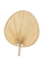 SUŠENÉ PALMOVÉ LISTY PALMOVÝ VENTILÁTOR BOHO BÉŽOVÁ S SUŠENÉ PALMOVÉ LISTY PALMOVÝ VENTILÁTOR BOHO BÉŽOVÁ S