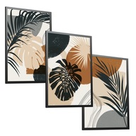 Moderná sada 3 plagátov 50x70 MONSTERA Moderná sada 3 plagátov 50x70 MONSTERA