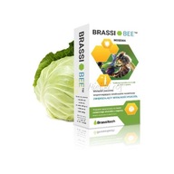 Brassibee - Prípravok na boj s nosemózou