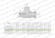 Asymetrické palcové hydraulické T-kus BBA 1/2" BSP (XEVL) Waryńsk Asymetrické palcové hydraulické T-kus BBA 1/2" BSP (XEVL) Waryńsk
