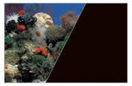 Zolux Obojstranné pozadie do akvária 60 x 120 cm koral