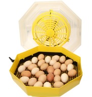 Inkubátor 60 vajec, liaheň, liaheň Cleo5
