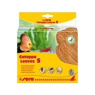 SYROVÉ MANDĽOVÉ LISTY CATAPPA LISTY S 10 KS SYROVÉ MANDĽOVÉ LISTY CATAPPA LISTY S 10 KS