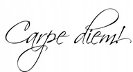 Nálepka na stenu s nápisom Carpe Diem, nálepka na stenu Nálepka na stenu s nápisom Carpe Diem, nálepka na stenu