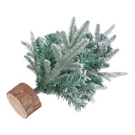 Mini vianočný stromček Zelený stôl Miniatúrna borovica
