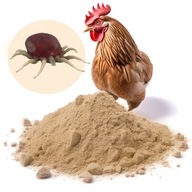 Hygiena kurčiat Diatomit Ptaszyniec Wszoły Kurnik 20KG Hnojivo Diatomaceous Earth Hygiena kurčiat Diatomit Ptaszyniec Wszoły Kurnik 20KG Hnojivo Diatomaceous Earth