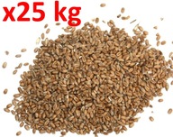 KRMIVÁ pšenica 25kg pre vtáky a hydinu