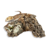 BioCork Bits Korkové odrezky z dubovej kôry do terária 500g BioCork Bits Korkové odrezky z dubovej kôry do terária 500g