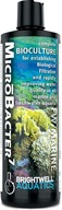 BRIGHTWELL AQUATICS MicroBacter7 125ml Baktérie BRIGHTWELL AQUATICS MicroBacter7 125ml Baktérie