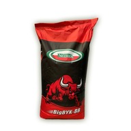 BIG-BULL FAST koncentrát pre býkov 25kg NEOROL BIG-BULL FAST koncentrát pre býkov 25kg NEOROL