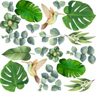 Samolepky na stenu MONSTERA listy 50x100cm MR5 Samolepky na stenu MONSTERA listy 50x100cm MR5