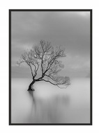 OBRAZOVÝ PLAGÁT V RÁME 53x73 cm Stromček P638