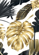 Monstera gold Plagát Plagáty B2 70x50cm Papier200 Monstera gold Plagát Plagáty B2 70x50cm Papier200