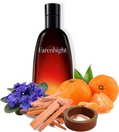 Farenheit Ferenhight pánsky parfum 100 ml EDP Farenheit Ferenhight pánsky parfum 100 ml EDP