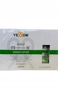 Žlté ampulky na ošetrenie vlasovým energetickým mliekom 6x13ML Žlté ampulky na ošetrenie vlasovým energetickým mliekom 6x13ML