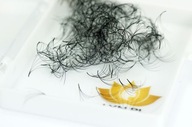 FAN EYELSHES SILK TUNTS 5D-0,07 TWIST C-950 KS#1320 - 11 mm FAN EYELSHES SILK TUNTS 5D-0,07 TWIST C-950 KS#1320 - 11 mm