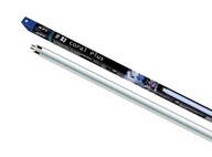 ATI T5 24W Coral Plus NEW akvarijná žiarivka ATI T5 24W Coral Plus NEW akvarijná žiarivka