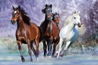 Bob Langrish - Runaway Horses - plagát Bob Langrish - Runaway Horses - plagát
