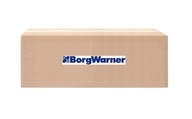 BORGWARNER PSG003 žeraviaca sviečka BORGWARNER PSG003 žeraviaca sviečka