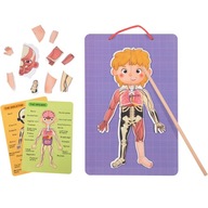 Drevené magnetické anatomické puzzle Tooky Toy
