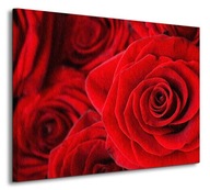 Obraz Červená ruža Červené ruže 80x60 cm