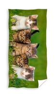 KOTKI kitty plážová osuška 70 x 140 cm (TNL214004) KOTKI kitty plážová osuška 70 x 140 cm (TNL214004)