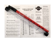 FLUELET D MUSIC RED FLEE POUZDRO NA FLUETU PUSH CHART SET FLUELET D MUSIC RED FLEE POUZDRO NA FLUETU PUSH CHART SET