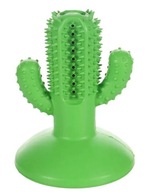 FLAMINGO GUMA DENTAL CACTUS 9,5x9,5x12,5 521976 FLAMINGO GUMA DENTAL CACTUS 9,5x9,5x12,5 521976
