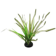 REPTI PLANET Spartina tráva 30cm terárijná rastlina REPTI PLANET Spartina tráva 30cm terárijná rastlina