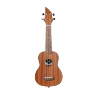 FLYCAT C10S SOPRANO UKULELE + VZDELÁVACÍ KURZ ZA 0 PLN