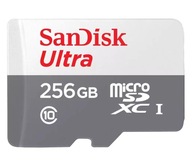 Pamäťová karta SanDisk 256 GB microSDXC Ultra 100 MB/s C10 UHS-I